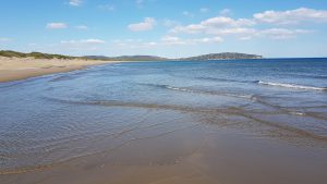 Spiaggia di Feniglia